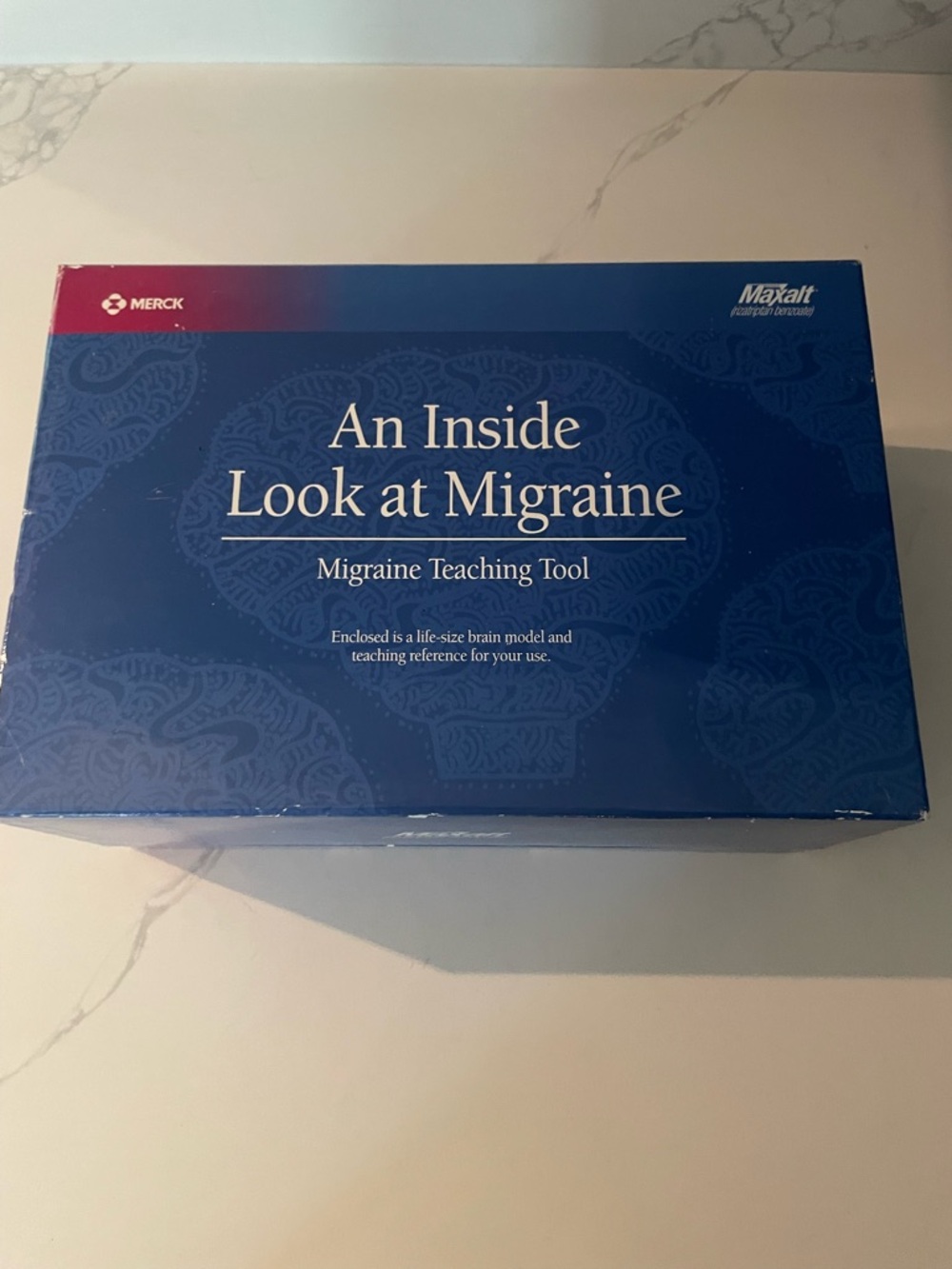 Merck Maxalt Brain Model - Picture 2 of 7